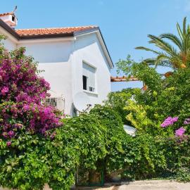 Apartments Antares