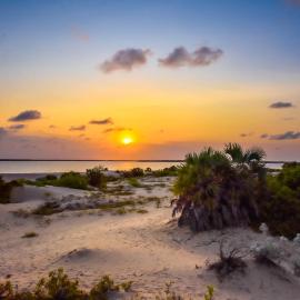 Kizingo Beach Eco Lodge, hotel en Lamu