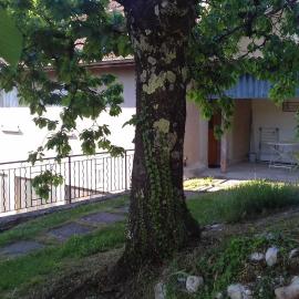 Côté Jardin