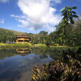 Macaw Lodge، فندق في Carara