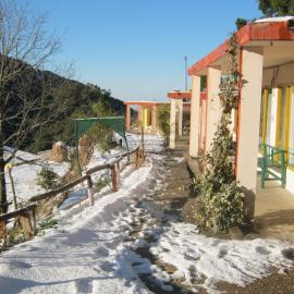 Janardan Resort Pangot, Nainital, hotel in Nainital