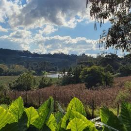 Loft romântico na Serra - natureza e fogão a lenha, hotel en Garibaldi
