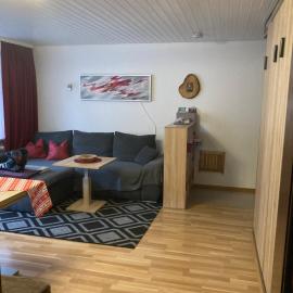 Gemütliche Ferienwohnung in Sankt Blasien, hotel in St. Blasien