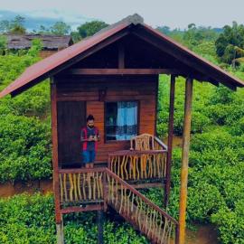 Misty Mountain- Sinharaja: Deniyaya şehrinde bir otel