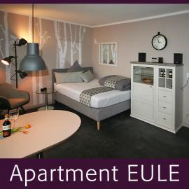 Apartment EULE - ruhige Innenstadtlage mit Balkon, hotelli kohteessa Braunschweig
