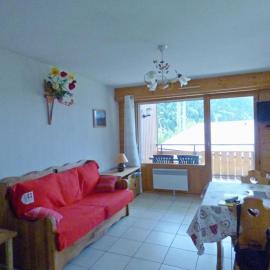 Charmant T2 + cabine, 6 pers, garage, près des stations La Clusaz et Le Grand-Bornand - FR-1-458-94, hotel in Saint-Jean-de-Sixt