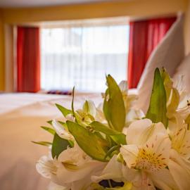 Hotel Alsacia Arequipa