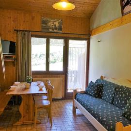 Appartement 4-5 pers. pied des pistes au Planay - FR-1-342-134