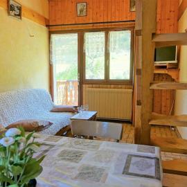 Grand appartement familial au pied des pistes pour 8 personnes - FR-1-342-150