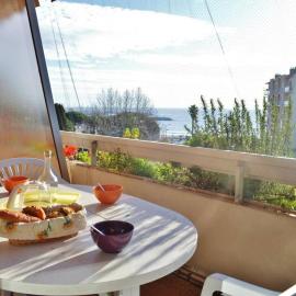 Le Lavandou : T2 avec 4 couchages, terrasse, parking en option, animaux admis - FR-1-251-212