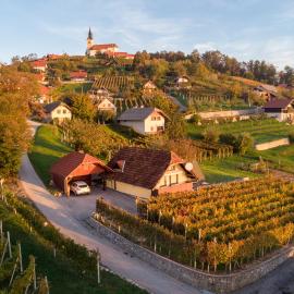 Vineyard cottage Hočevar