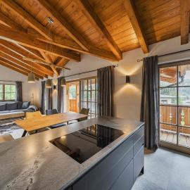 Dachstein West Apartment T4