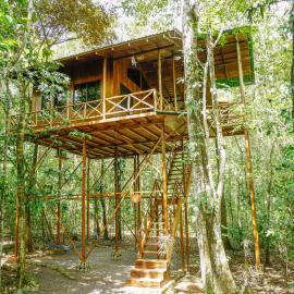 Tree Houses Hotel Costa Rica, hotel Florenciában