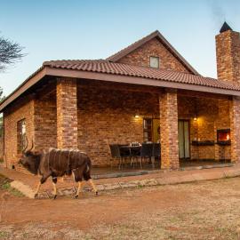 Sondela Nature Reserve & Spa Chalets: Bela-Bela şehrinde bir otel