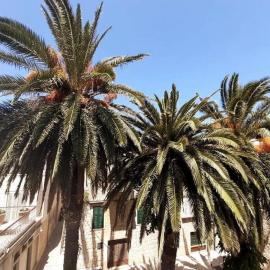 Casa Ruben, private stone house, hotel en Vis