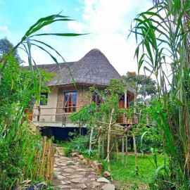 Chimpanzee Capital Safari Lodge, hotel a Bigodi