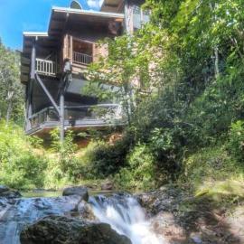 BUTTERFLY BEND - 3 Bedroom Daintree Beach House, hotel in Cow Bay