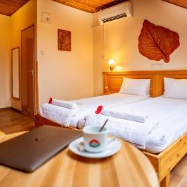 Hotel Manzard Panzio