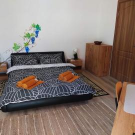 Дом за Гости Осогово โรงแรมในKyustendil