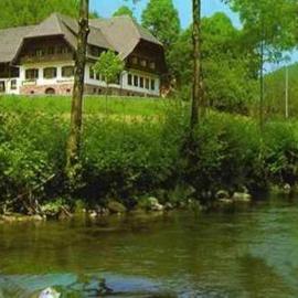 Hotel Restaurant Ochsenwirtshof, hotel in Bad Rippoldsau-Schapbach