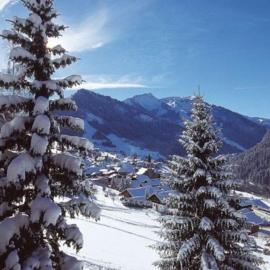 Studio centre Châtel avec coin montagne، فندق في شاتيل