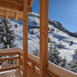 La Boutame : chalet au pied des pistes à Villard Reculas