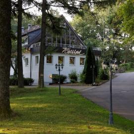 Waldhotel Wilhelmshöhe, отель в городе Фройденберг