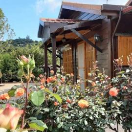 Kapilio Cottage House, hotell i Kapilio