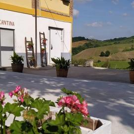 Cascina Angelina, hotel a Casteggio