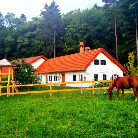 Turistična kmetija Hiša ob gozdu pri Ptuju, hotell i Ptuj