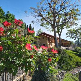 L'Albore, hotel u gradu Costigliole Saluzzo