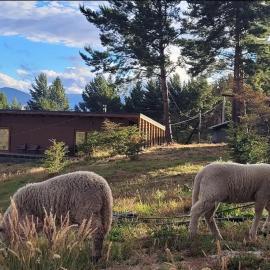 Turismo y Cabañas Dragon de La Patagonia, hotel i Cochrane