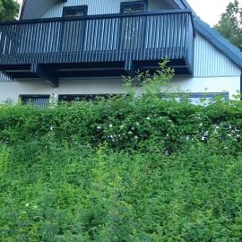 Ferienhaus im Seepark Kirchheim、キルヒハイムのホテル