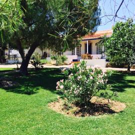 Vale de Camelos Country House, Alentejo, Portugal., hotel in Alcaria Ruiva