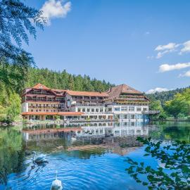 Hotel Langenwaldsee, מלון בפרוידנשטאדט