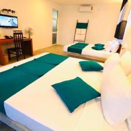 Tea Garden Eco Villas، فندق في Morawaka