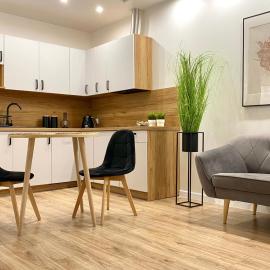 Nowoczesny Apartament w Dzierżoniowie - parter - balkon - pokój + sypialnia, hotel in Dzierżoniów