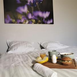 Broholm Bed&Breakfast، فندق في ليدكوبينغ