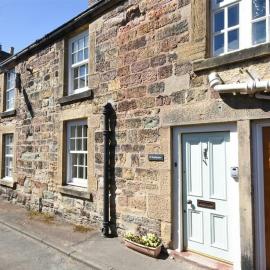 Sandpiper Alnmouth