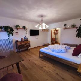 Gemütliches Studio mit Garagenparkplatz