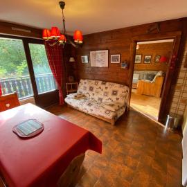 Appartement familial proche des pistes avec animaux admis - FR-1-692-58