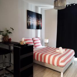 Pau hypercentre Studio, hotel Pauban