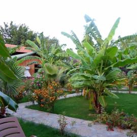 Estelar Bungalow, hotel a Çıralı