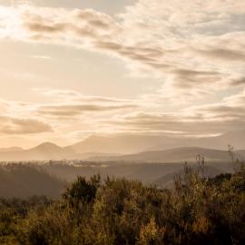 Forest Harmony, hotel in Knysna
