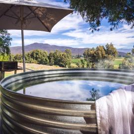 Arendsig Wine Estate & Cottages, Hotel in Bonnievale