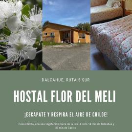 Hostal Flor del Meli, hotel in Dalcahue