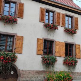 Gîte À l'aigle de sable