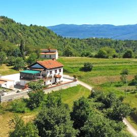 Apartment in Gradinje - Istrien 43268