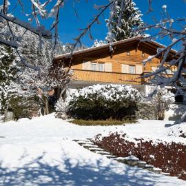Chalet Grimm, hotell i Adelboden