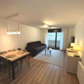 P&C Areny, hotel em Canillo